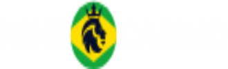 NINE CASINO LOGO